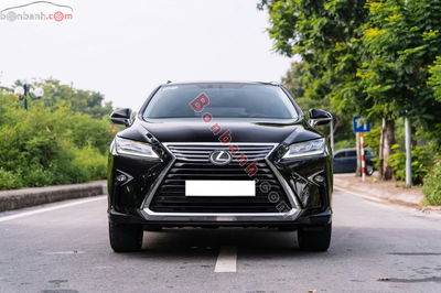 Xe Lexus RX 300 2019