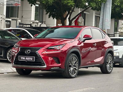 Xe Lexus NX 300 2017