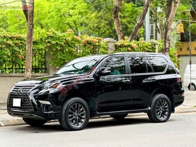Xe Lexus GX 460 2020