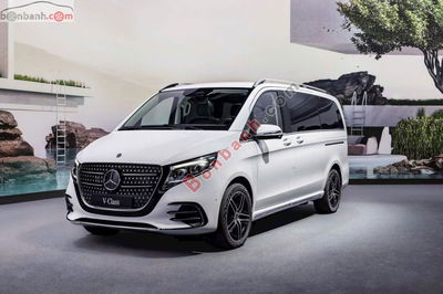 Xe Mercedes Benz V class V300 AMG 2025