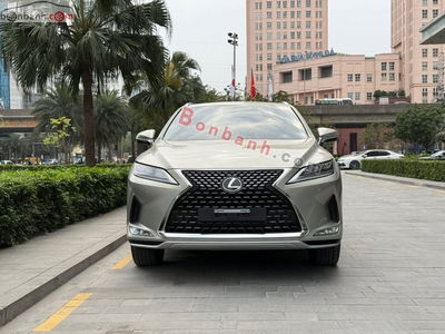 Xe Lexus RX 300 2022