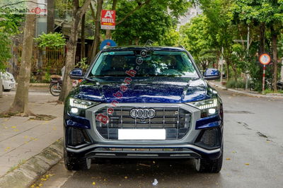 Xe Audi Q8 55 TFSI S-Line Quattro 2020