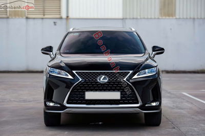 Xe Lexus RX 300 2019