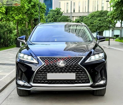 Xe Lexus RX 300 2022