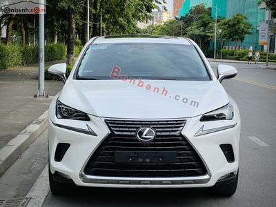 Xe Lexus NX 300 2019
