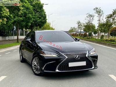 Xe Lexus ES 250 2021