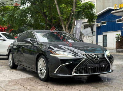Xe Lexus ES 250 2019
