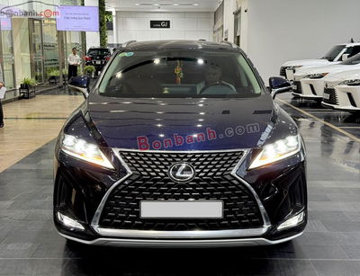 Xe Lexus RX 300 2022