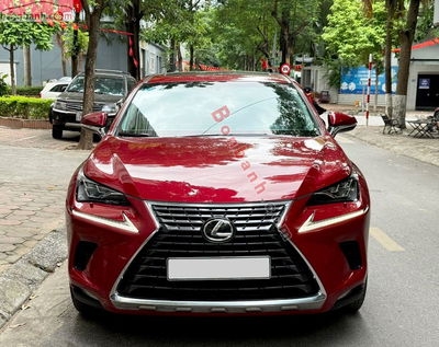 Xe Lexus NX 300 2017