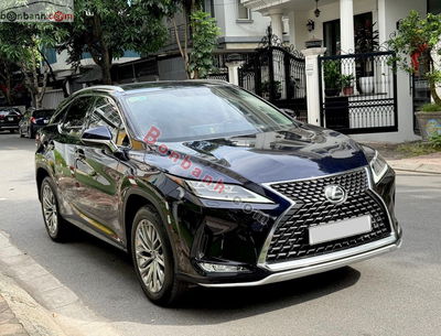 Xe Lexus RX 300 2022