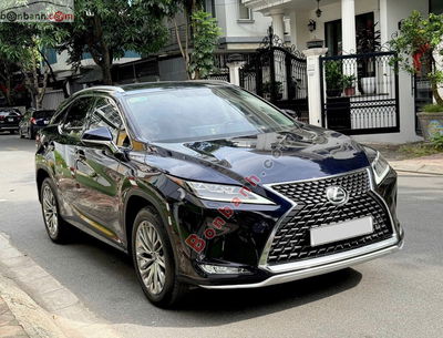 Xe Lexus RX 300 2022