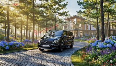 Xe Mercedes Benz V class V300 Avantgarde 2025