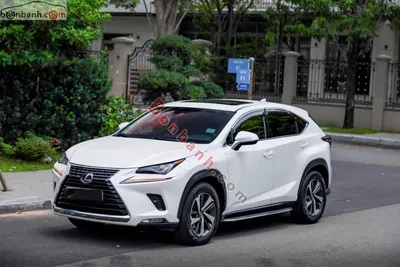 Xe Lexus NX 300 2017