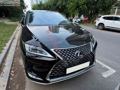 Xe Lexus RX 300 2019