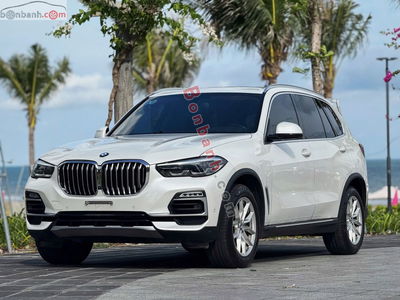 Xe BMW X5 xDrive40i xLine 2020