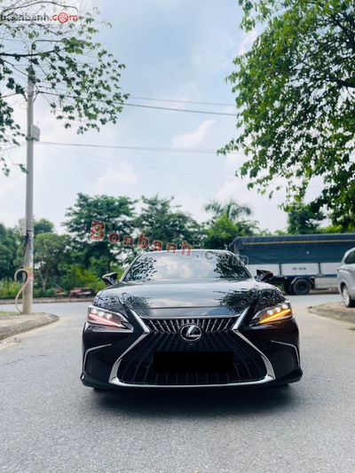 Xe Lexus ES 250 2022