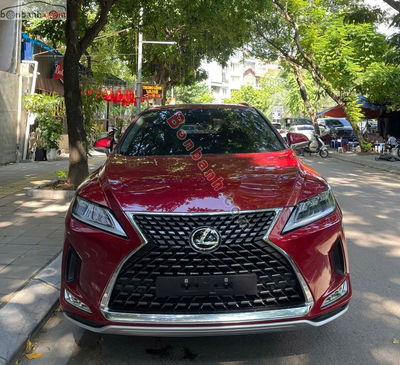 Xe Lexus RX 300 2021