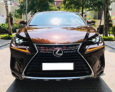Xe Lexus NX 300 2019