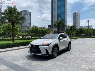 Xe Lexus NX 350h 2025