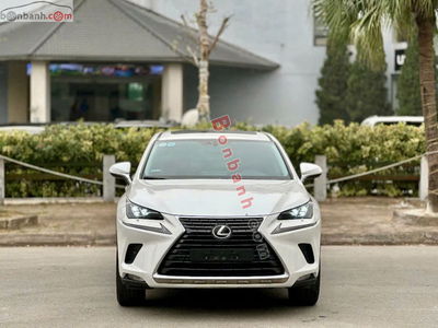 Xe Lexus NX 300 2019
