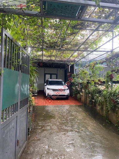 Xe Kia Carnival Signature 3.5G 2024