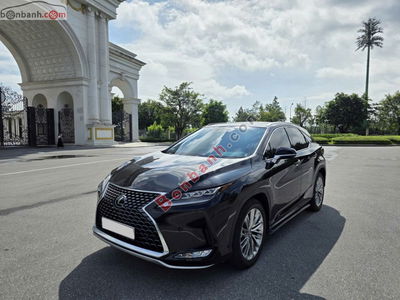 Xe Lexus RX 300 2019