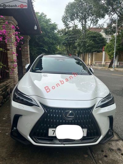 Xe Lexus NX 350h 2023