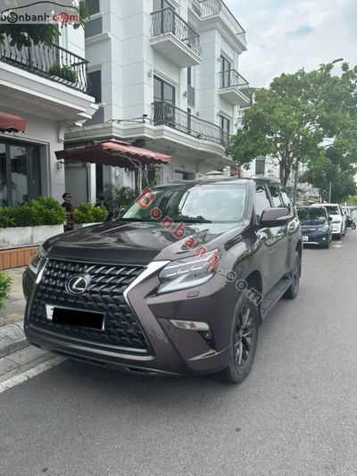 Xe Lexus GX 460 2019
