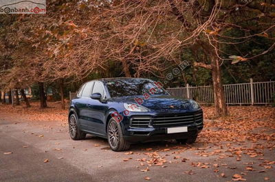 Xe Porsche Cayenne 3.0 V6 2019