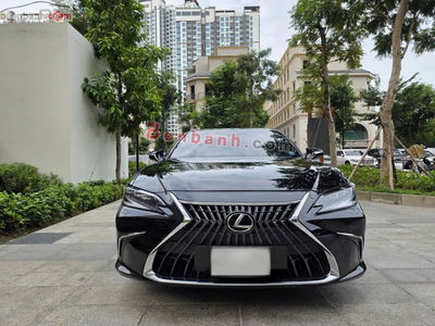 Xe Lexus ES 250 2022