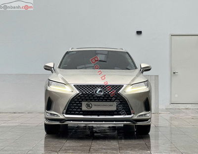 Xe Lexus RX 300 2021