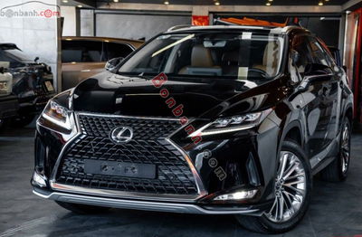 Xe Lexus RX 300 2020