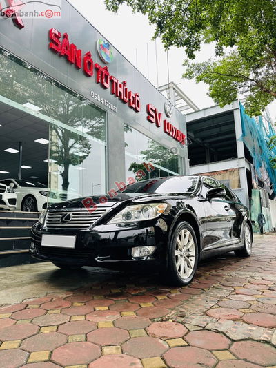 Xe Lexus LS 460 2009