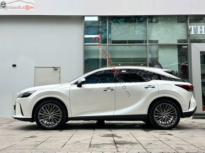 Xe Lexus RX 350 Luxury 2023