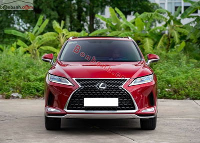 Xe Lexus RX 300 2022