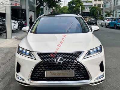 Xe Lexus RX 300 2020