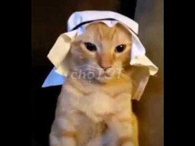 Aion ES 2022 - 50000 km