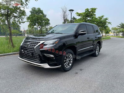 Xe Lexus GX 460 2009