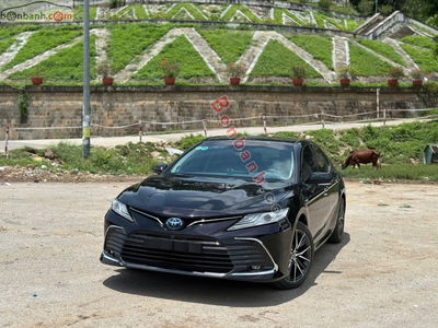 Xe Toyota Camry 2.5HV 2022