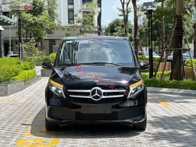 Xe Mercedes Benz V class V250 Luxury 2021