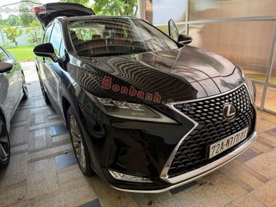 Xe Lexus RX 300 2019