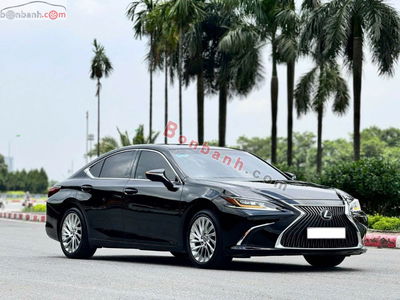 Xe Lexus ES 250 2019