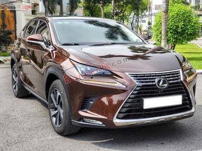 Xe Lexus NX 300 2019