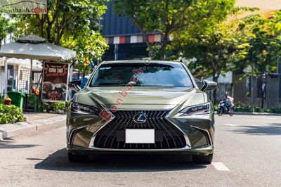 Xe Lexus ES 250 2023