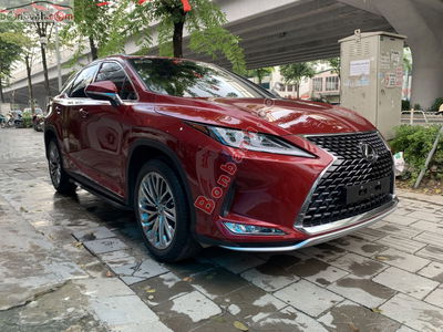 Xe Lexus RX 300 2021