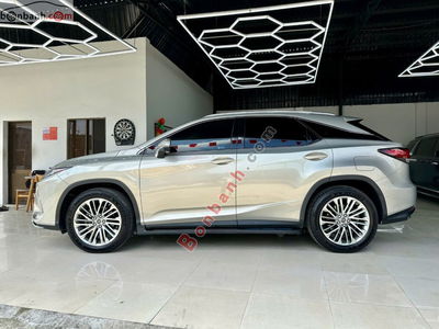 Xe Lexus RX 300 2020