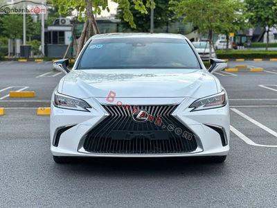 Xe Lexus ES 250 2020