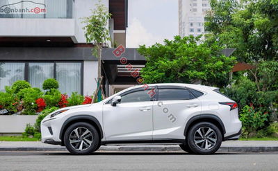 Xe Lexus NX 300 2017