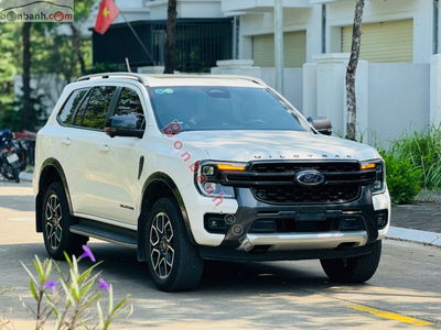 Xe Ford Everest Wildtrak 2.0L 4x4 AT 2024