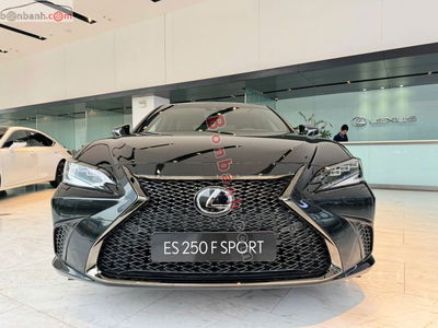 Xe Lexus ES 250 F Sport 2025